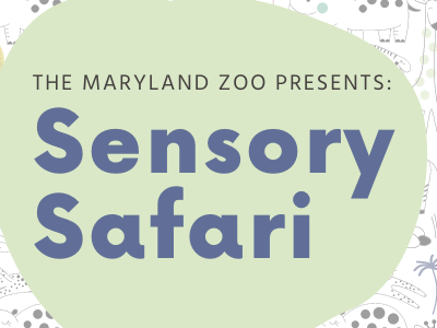 Image for "The Maryland Zoo Presents: Sensory Safari"