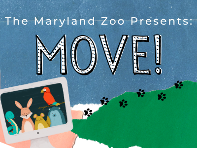 Virtual Maryland Zoo