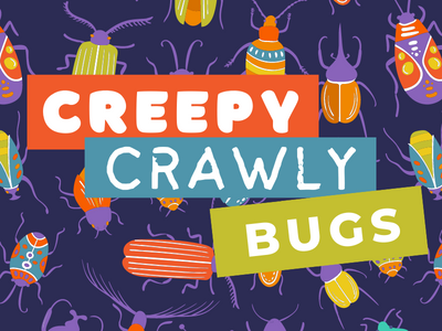 Creepy Crawly Bugs