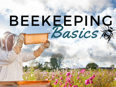 Beekeeping Basics