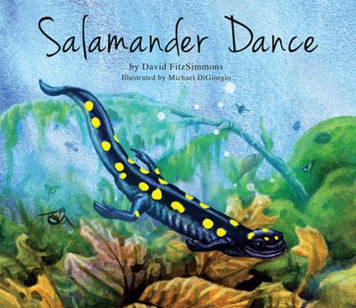 Salamander