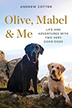 Image for "Olive, Mabel & Me"