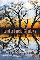 Image of "Land of Careful Shadows"