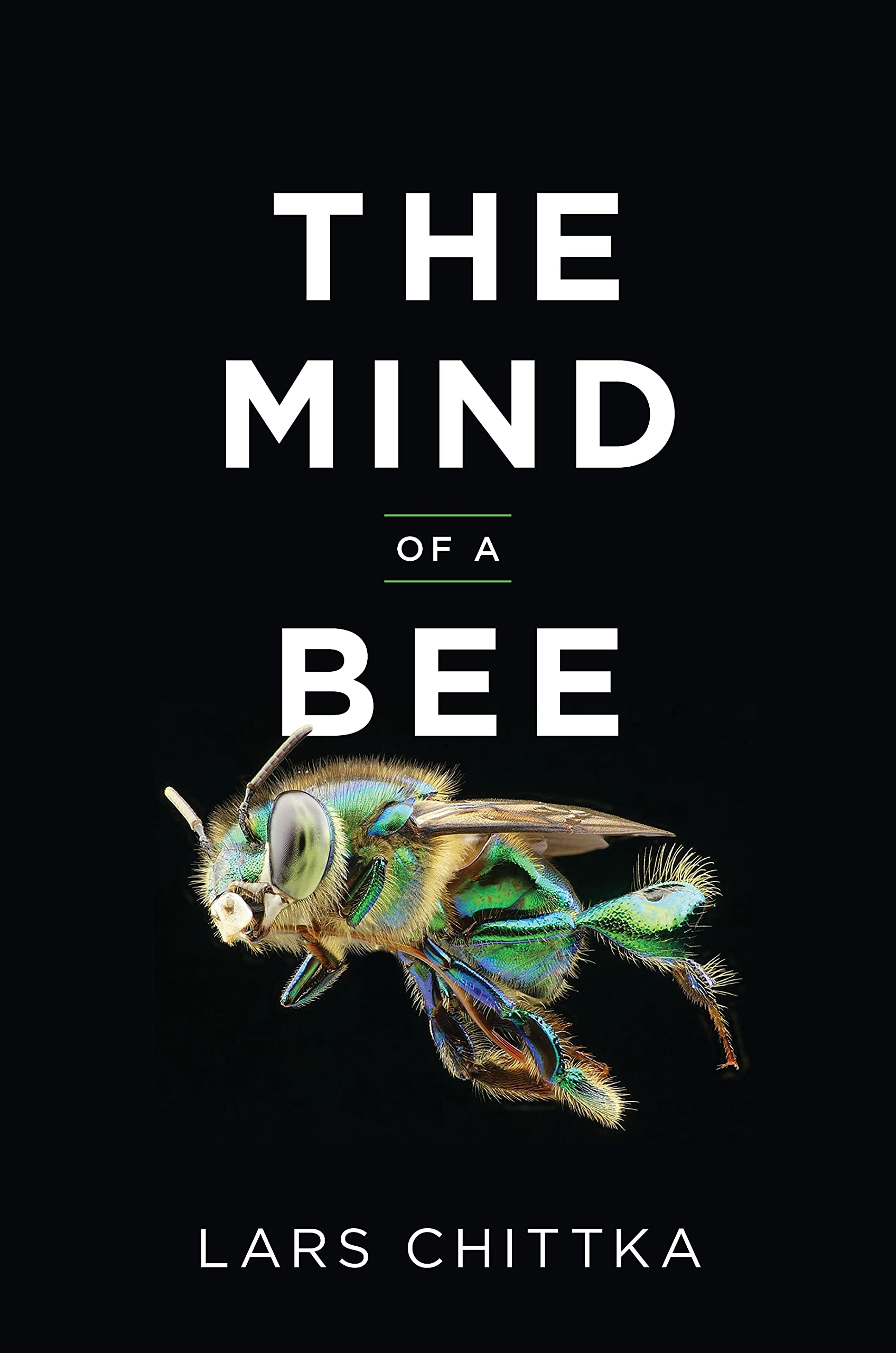 Image for "The Mind of a Bee"