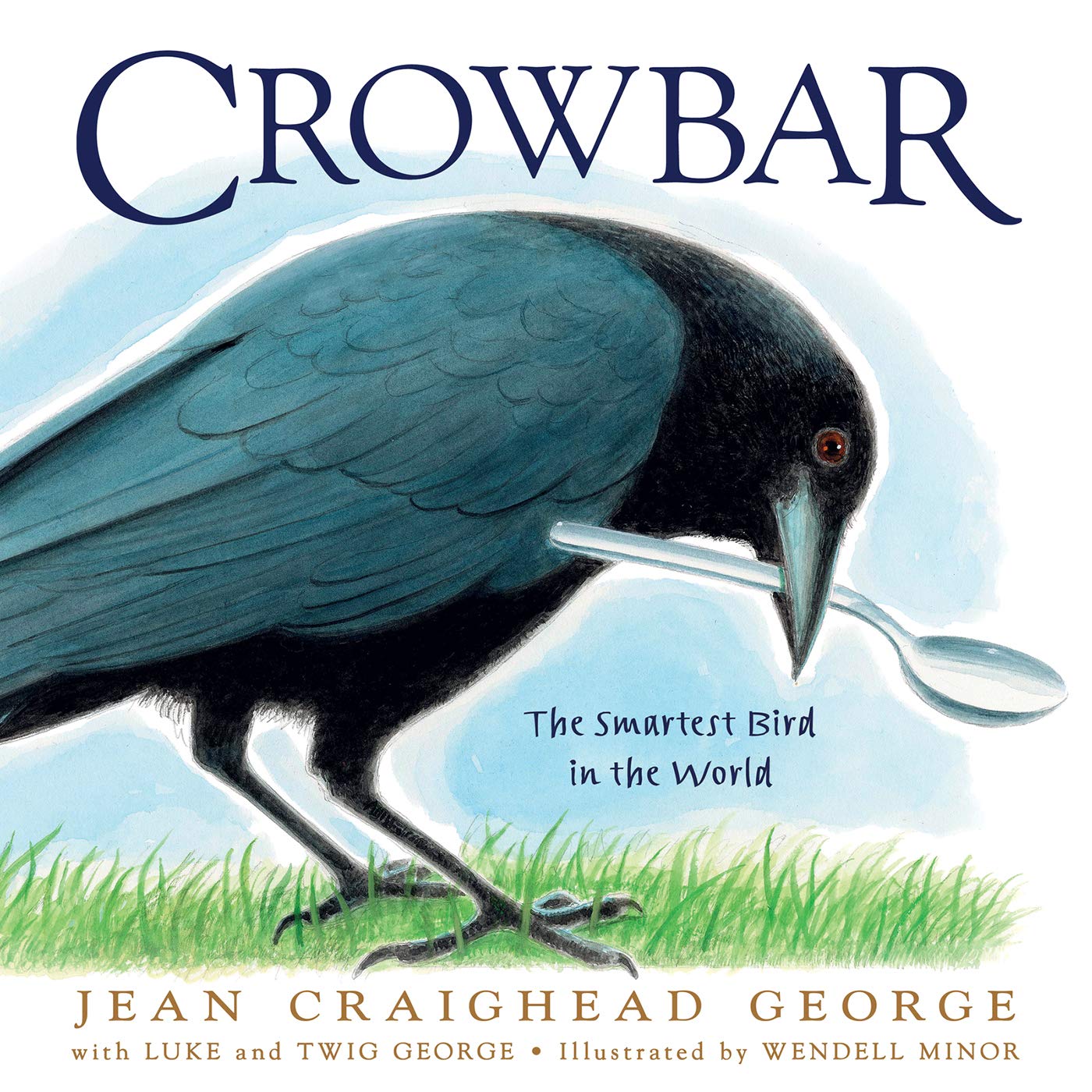 Crow bar