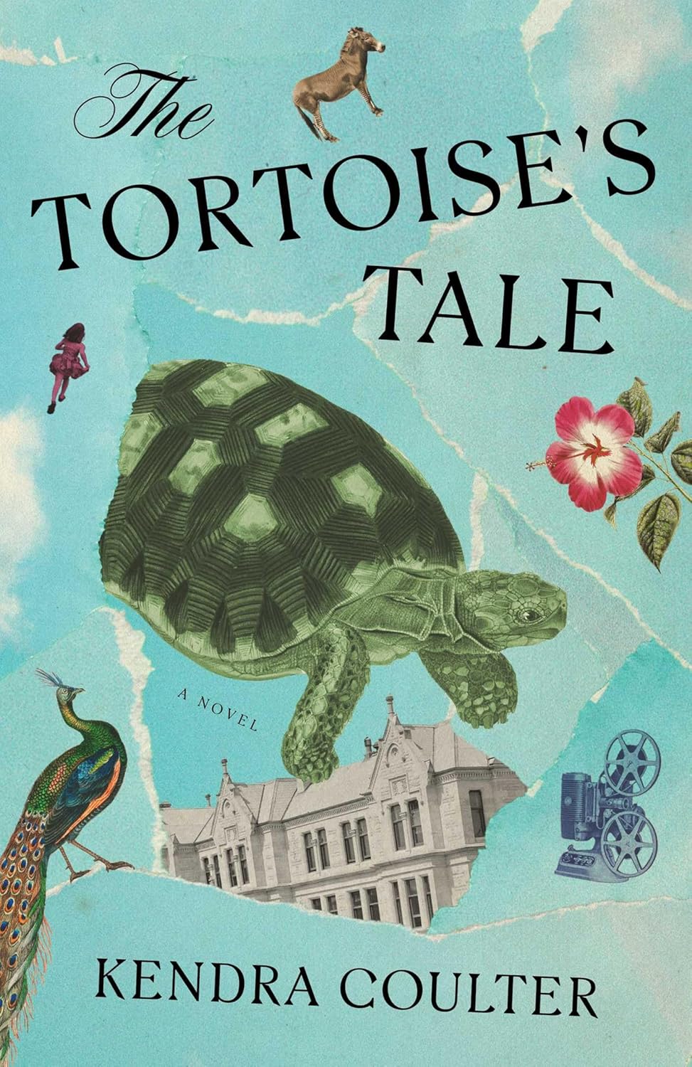 Image for "The Tortoise's Tale"