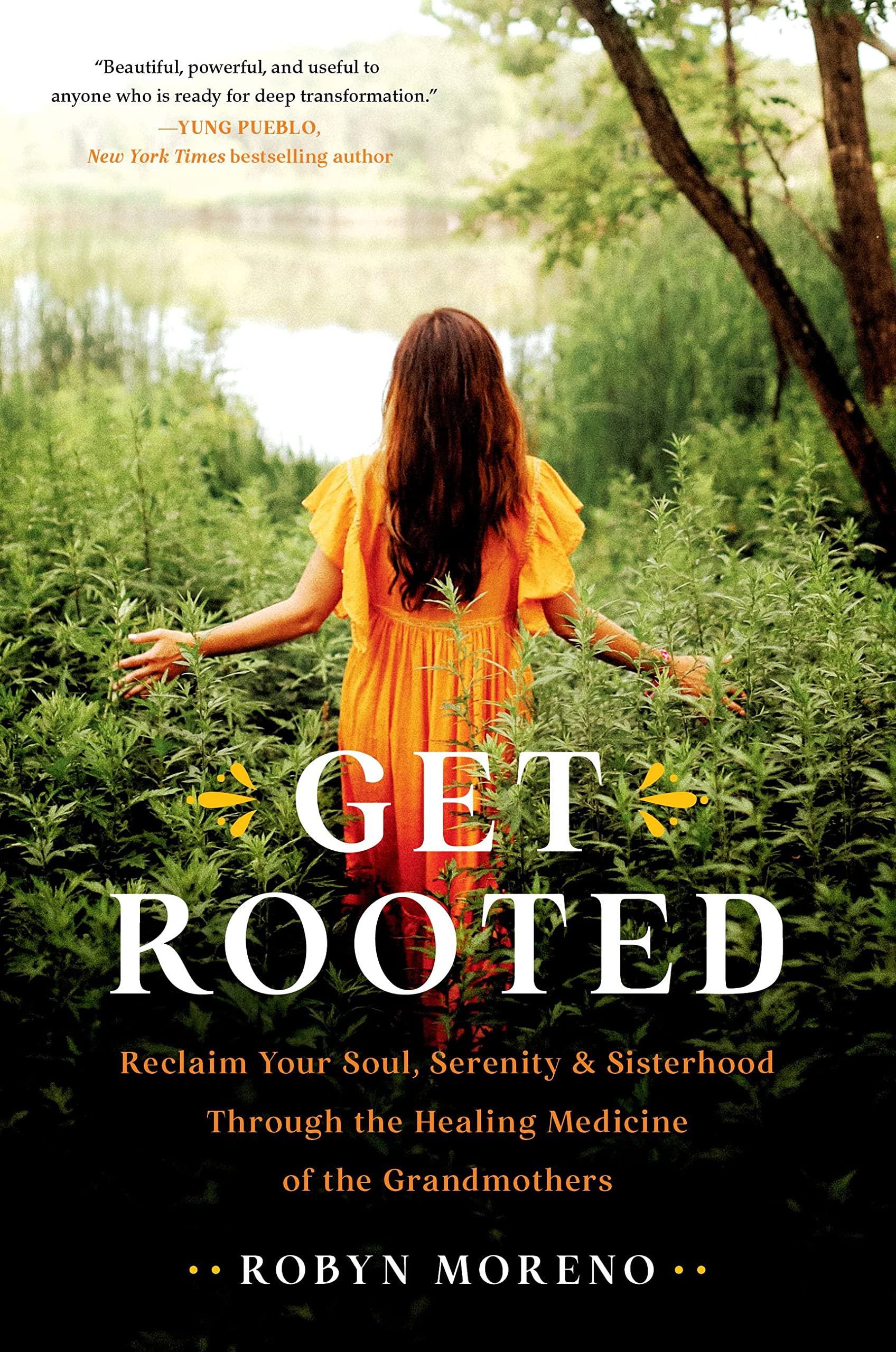 Image for "Get Rooted"