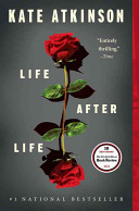 Image for "Life After Life"