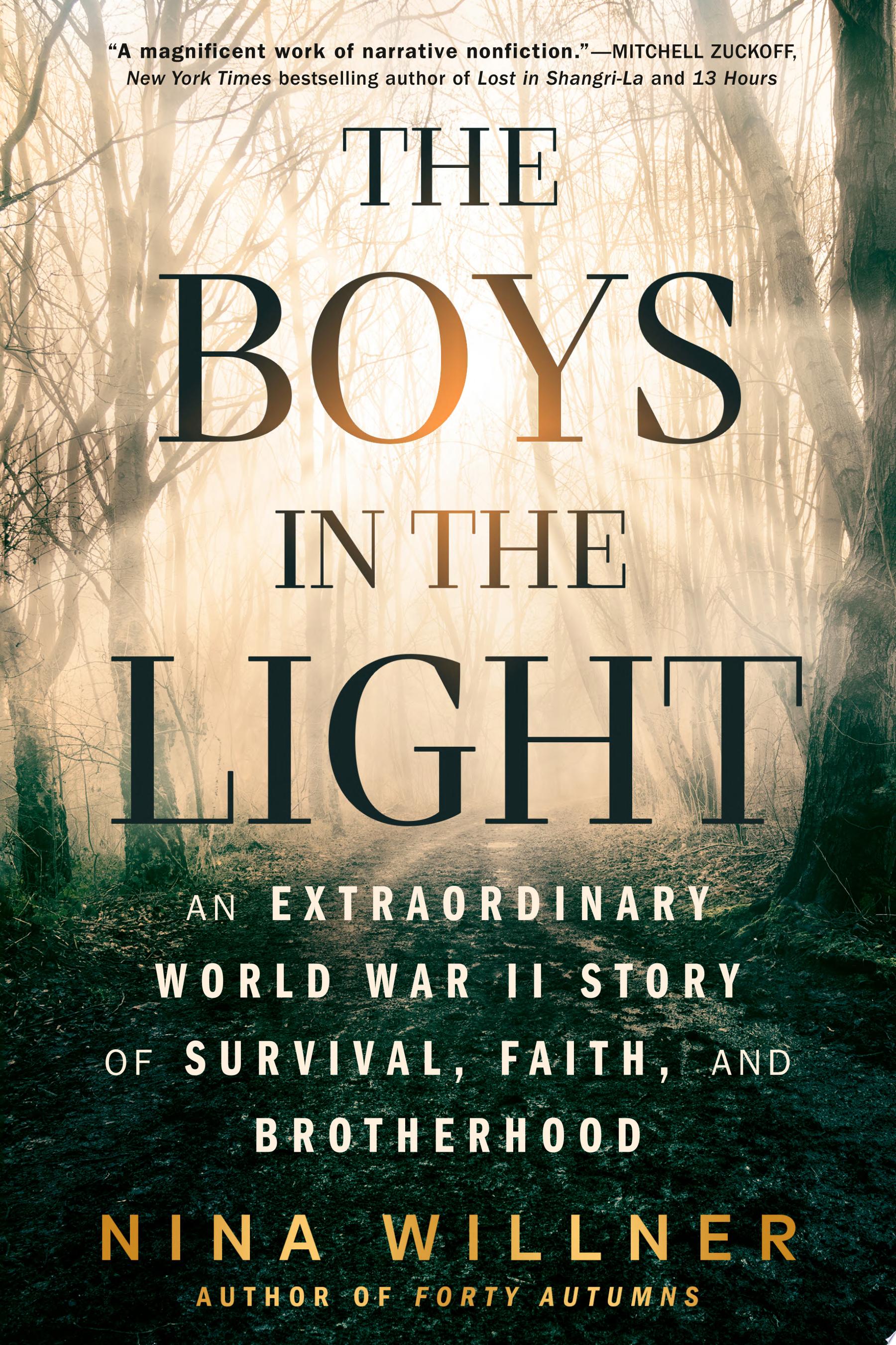 Image for "The Boys in the Light"