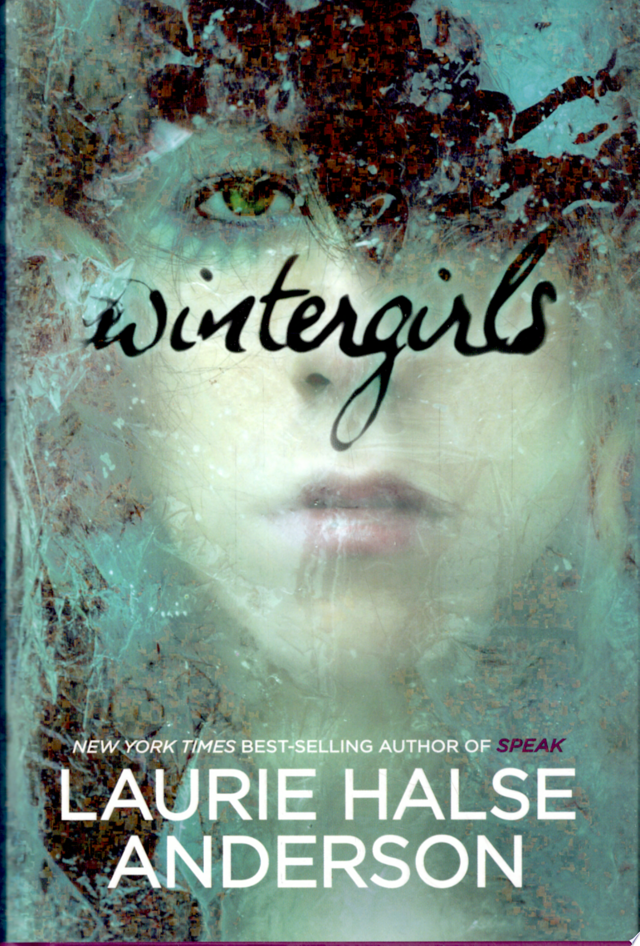 Image for "Wintergirls"