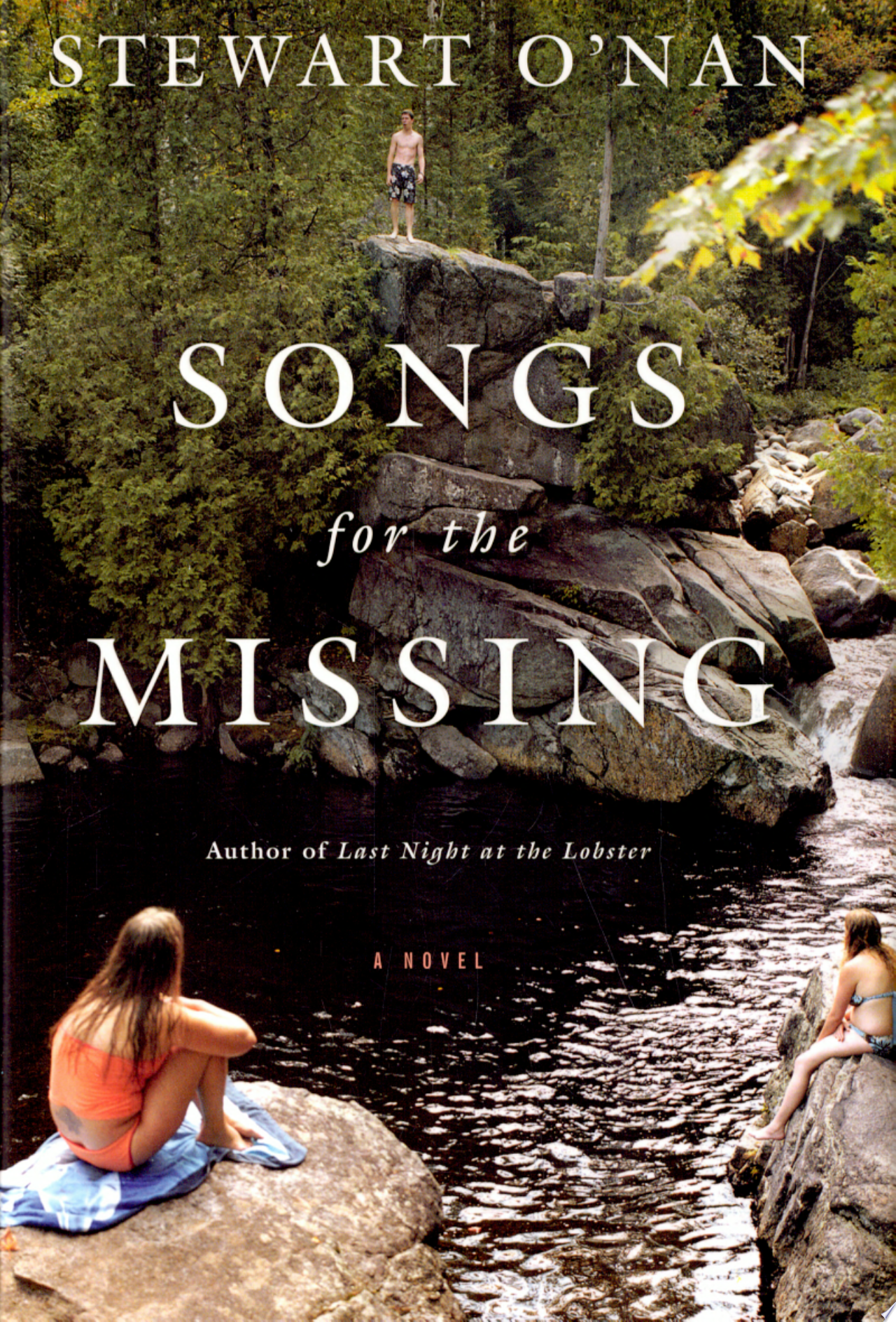 Image for "Songs for the Missing"
