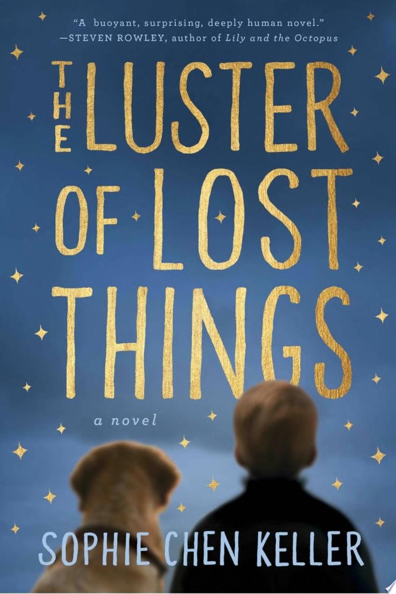 Image for "The Luster of Lost Things"