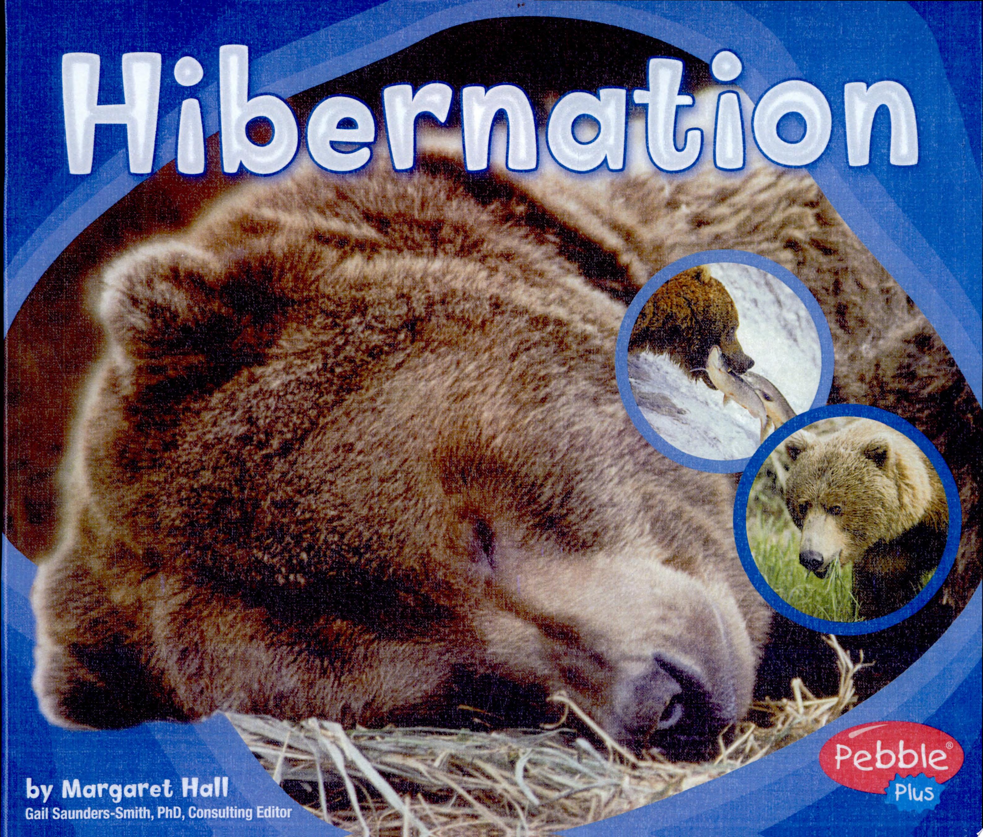 Image for "Hibernation"