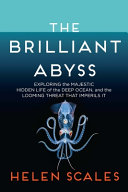 Image for "The Brilliant Abyss"