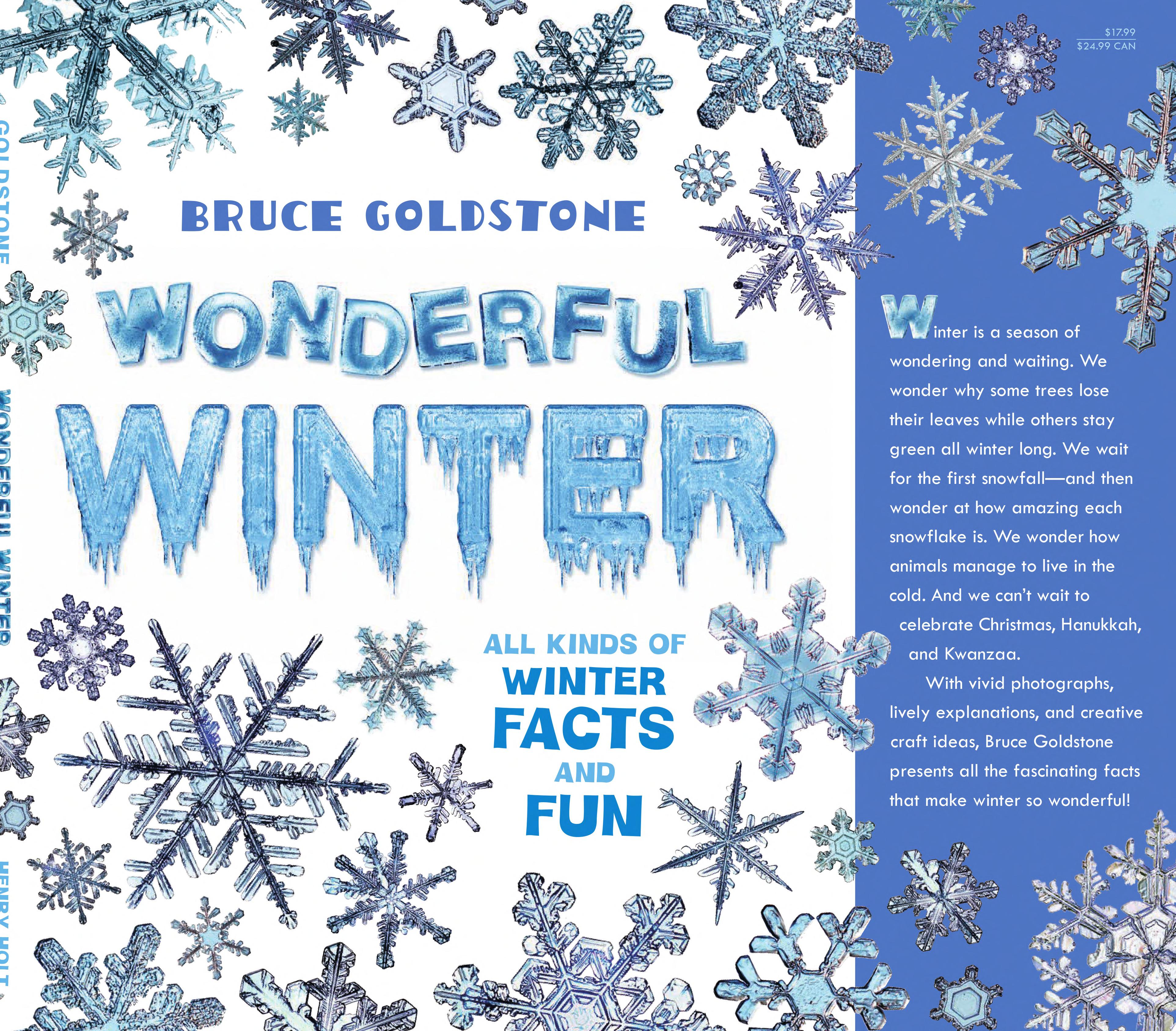 Image for "Wonderful Winter"