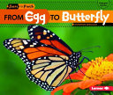 Image for "From Egg to Butterfly"