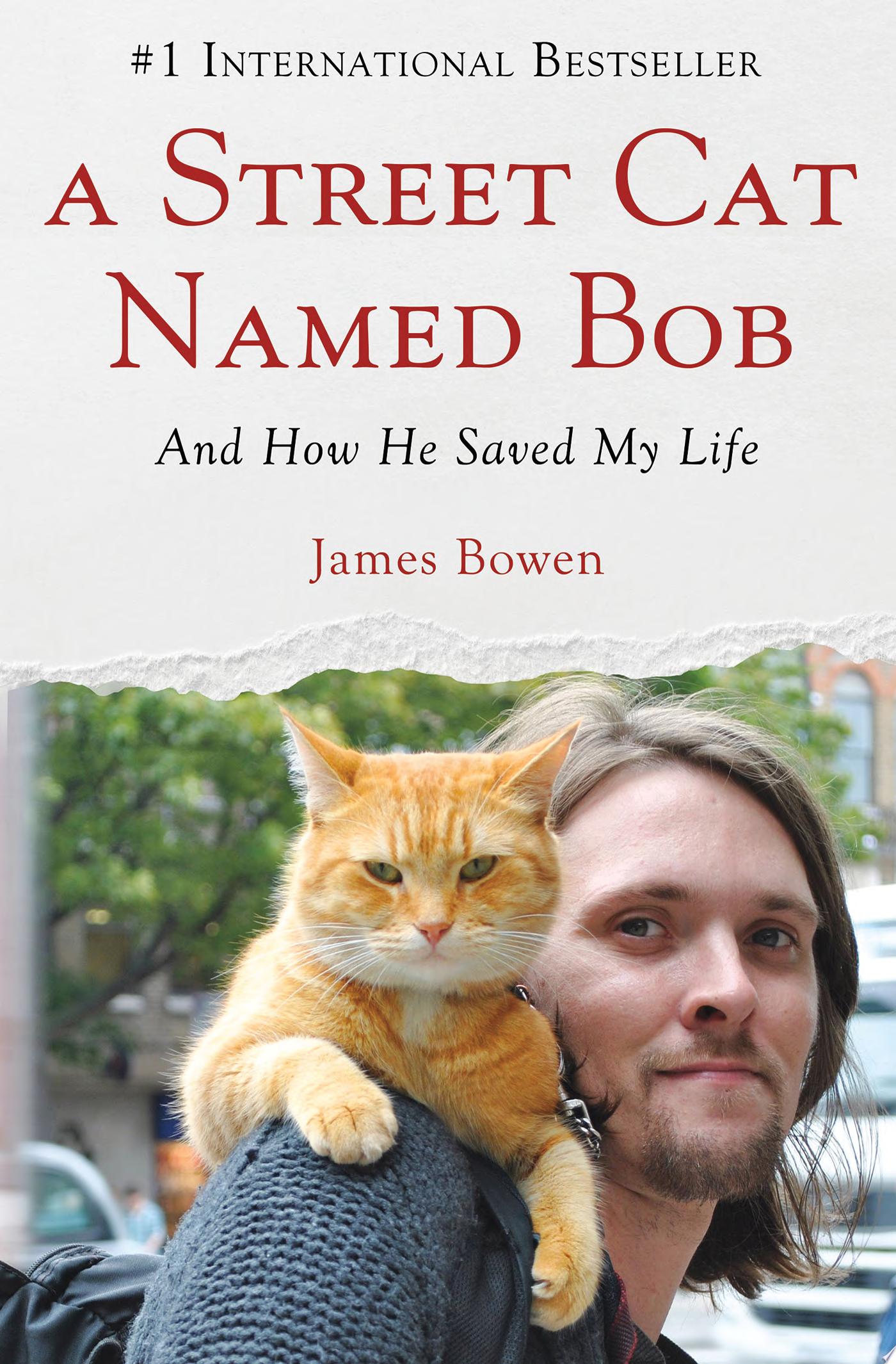 Image for "A Street Cat Named Bob"
