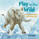 Image for "Play in the Wild"