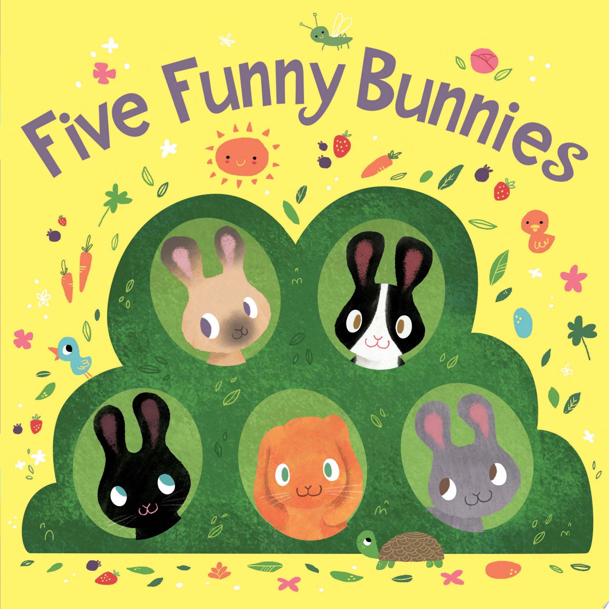 Image for "Five Funny Bunnies"
