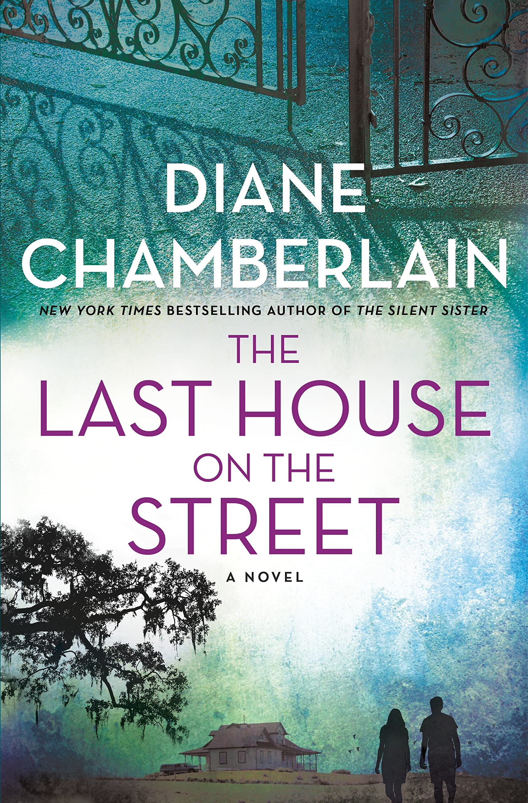 Image for "The Last House on the Street"