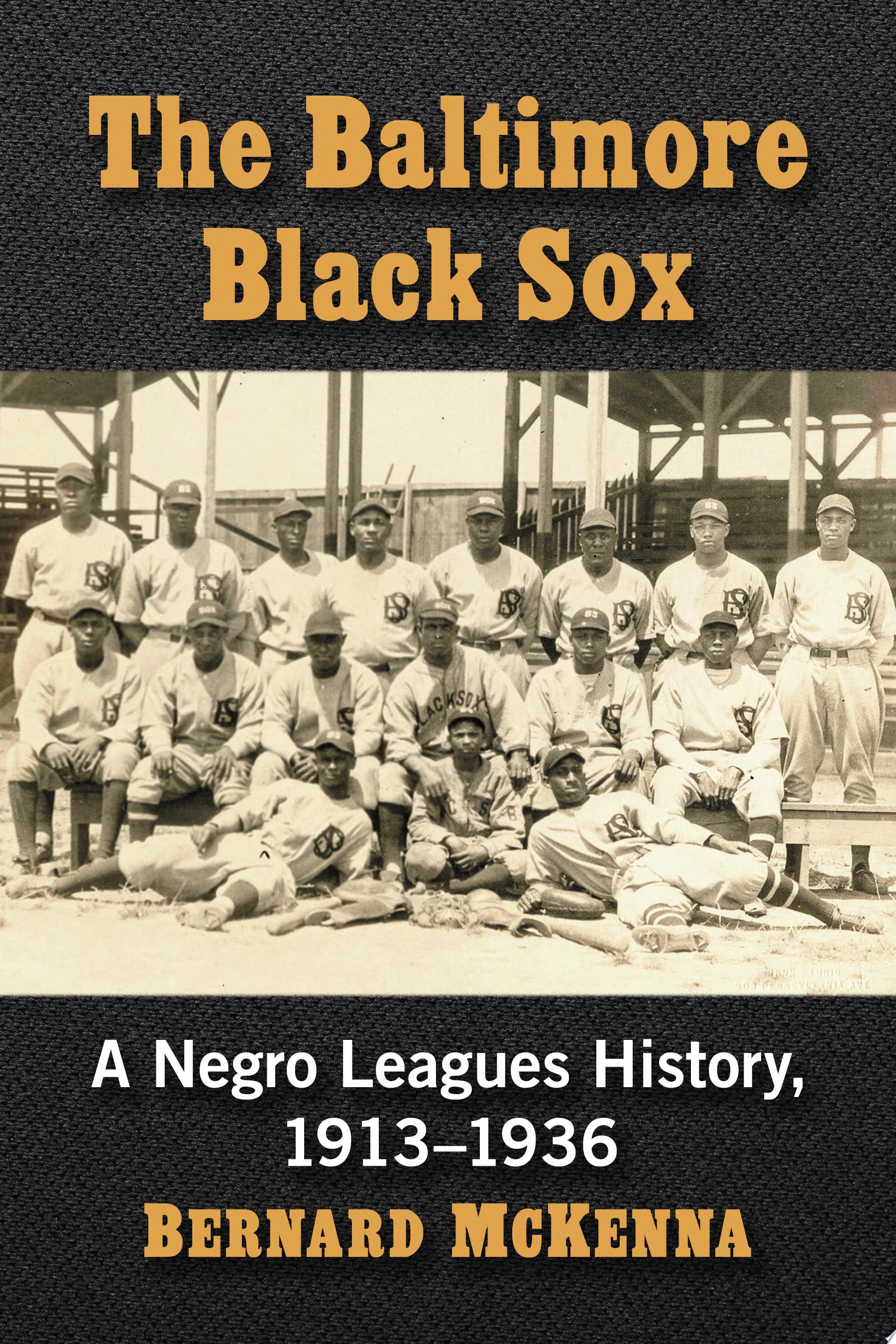 Image for "The Baltimore Black Sox"