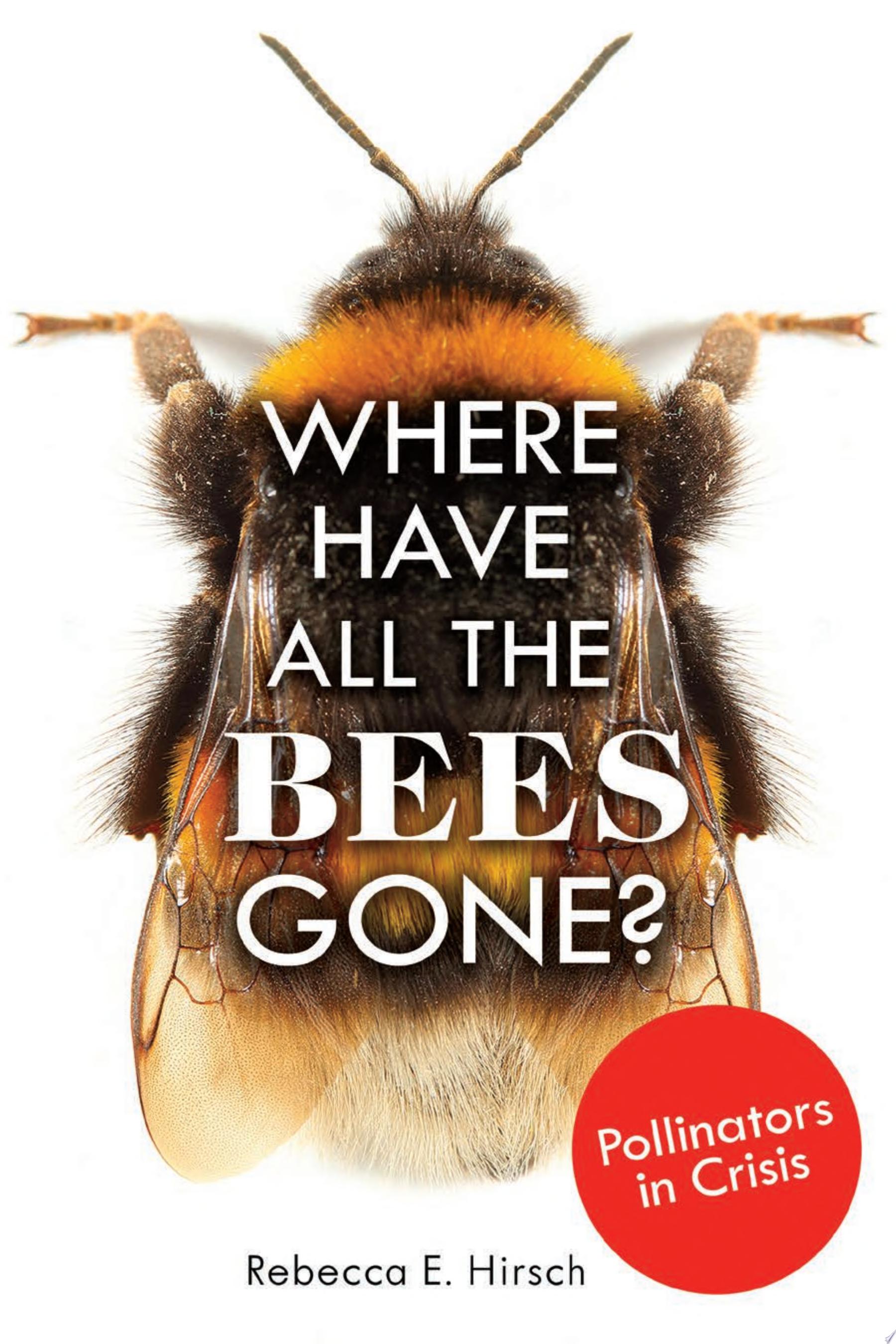 Image for "Where Have All the Bees Gone?"