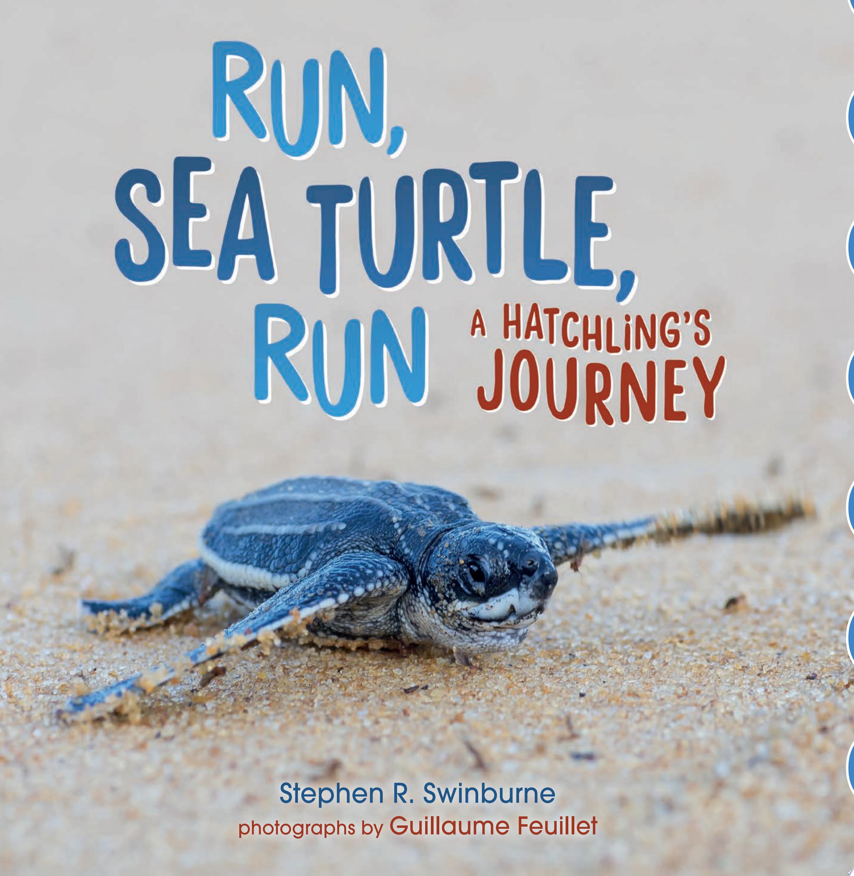 Image for "Run, Sea Turtle, Run"