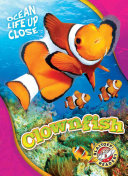 Image for "Clownfish"
