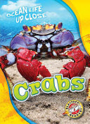 Image for "Crabs"