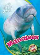 Image for "Manatees"