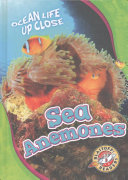 Image for "Sea Anemones"