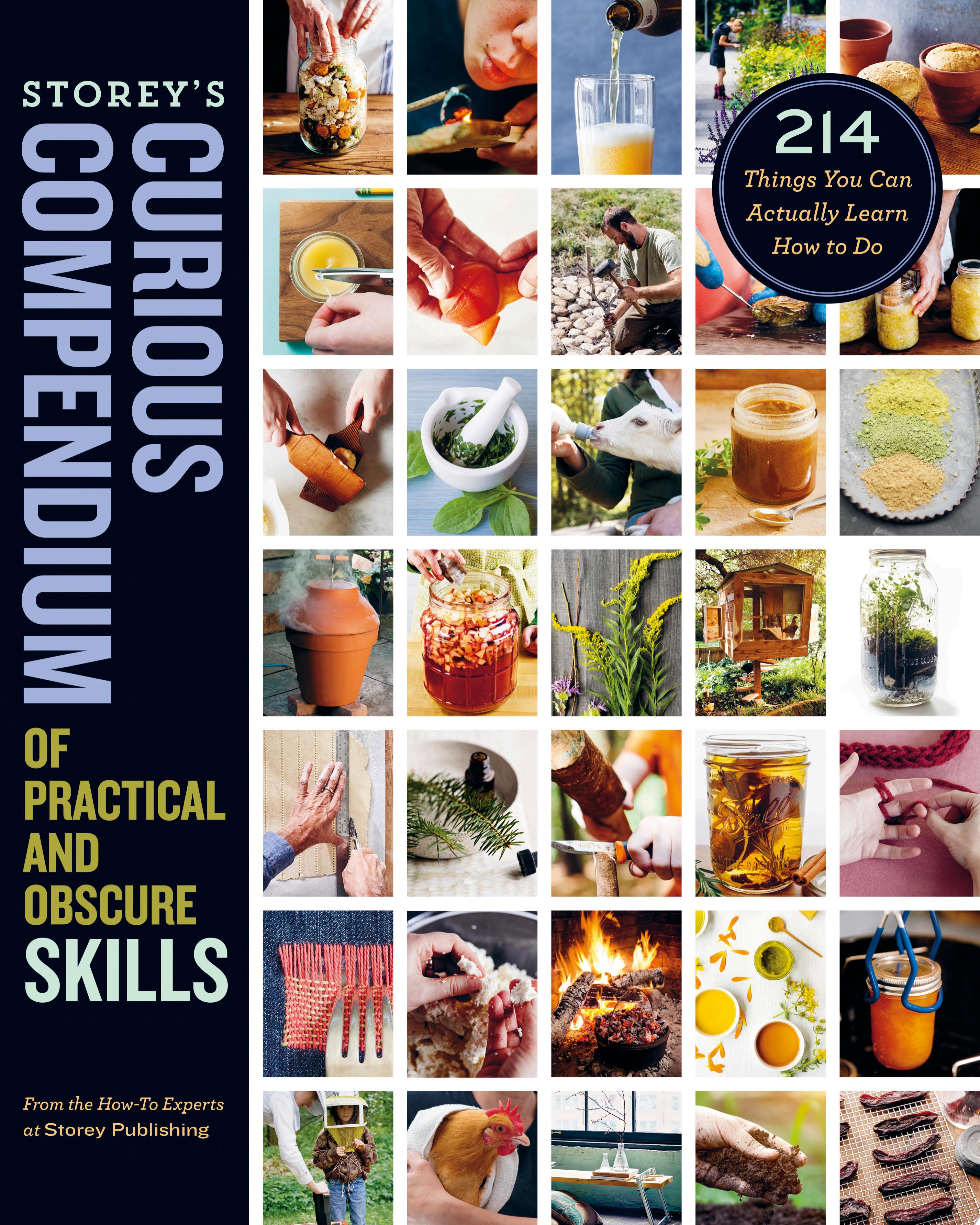 Image for "Storey&#039;s Curious Compendium of Practical and Obscure Skills"