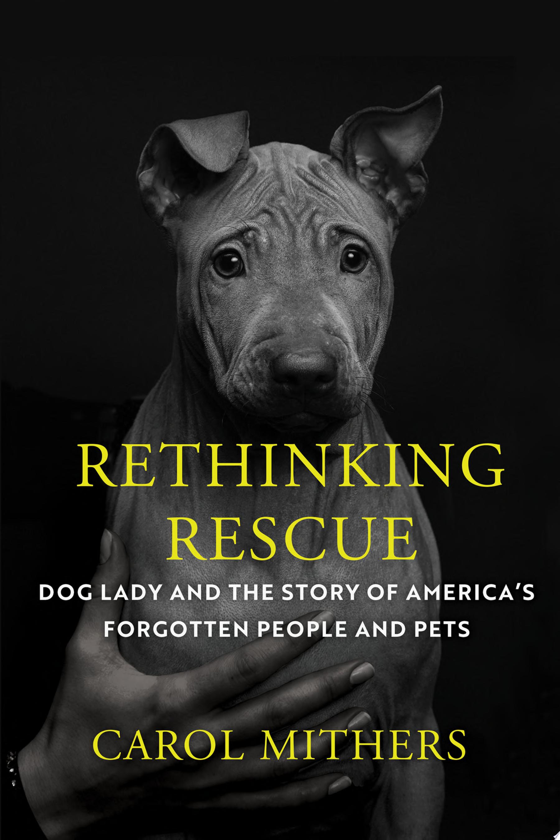 Image for "Rethinking Rescue"