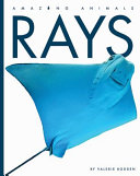 Image for "Rays"