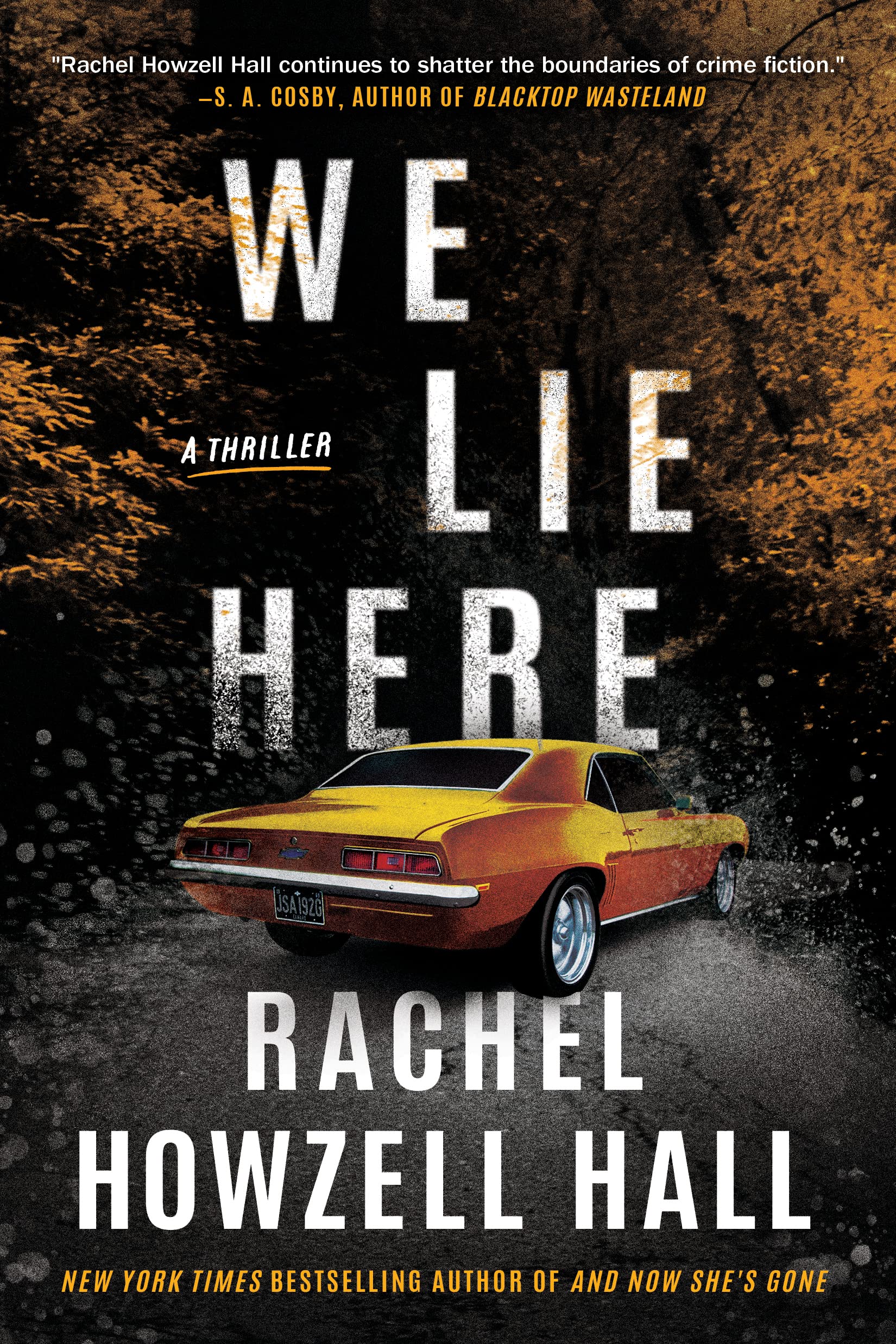 Image for "We Lie Here"