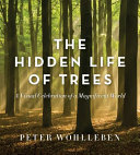 Image for "The Hidden Life of Trees"