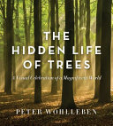 Image for "The Hidden Life of Trees"