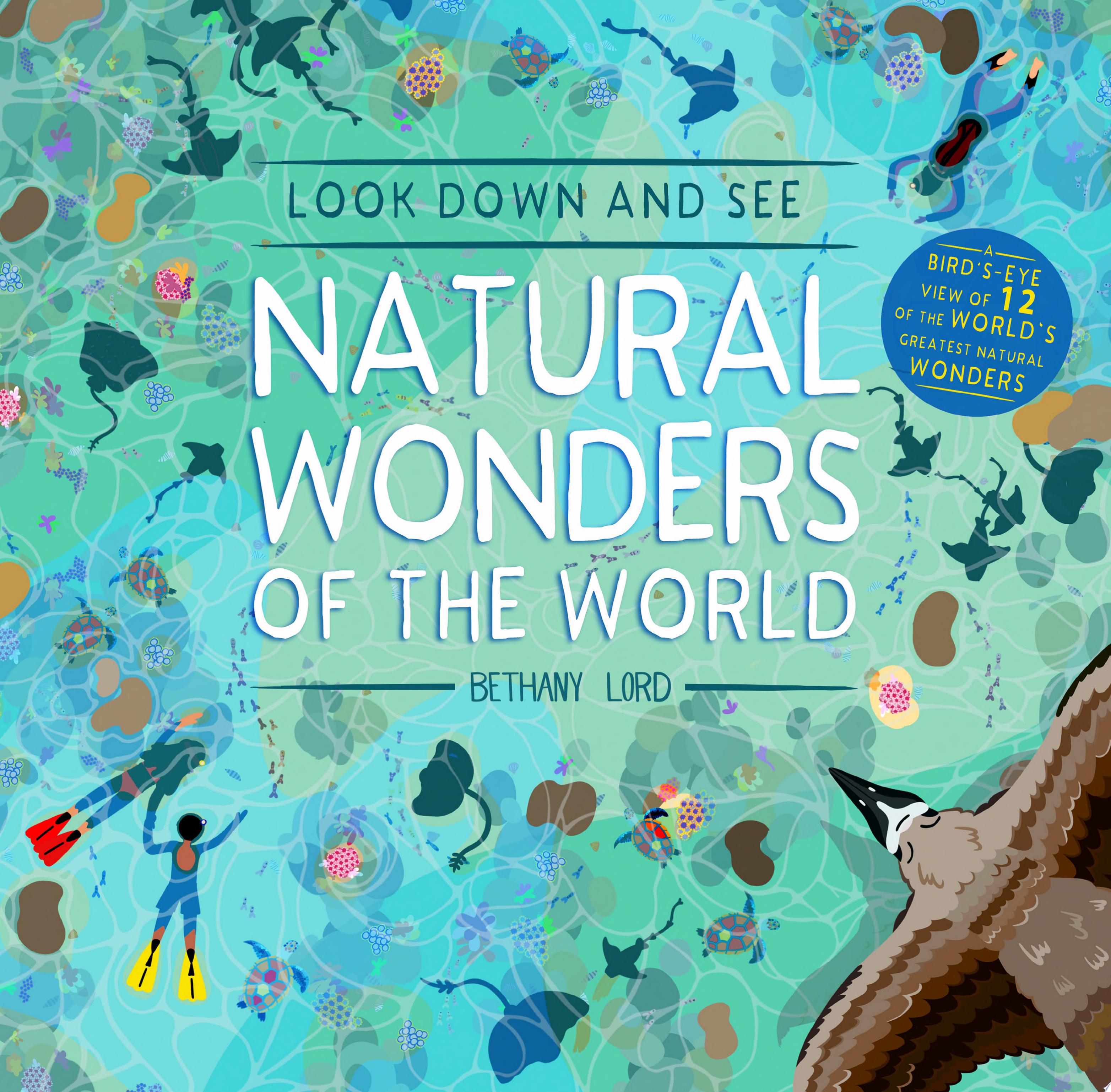 Image for "Look Down and See Natural Wonders of the World"