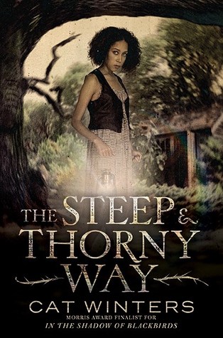 Image for “The Steep and Thorny Way”
