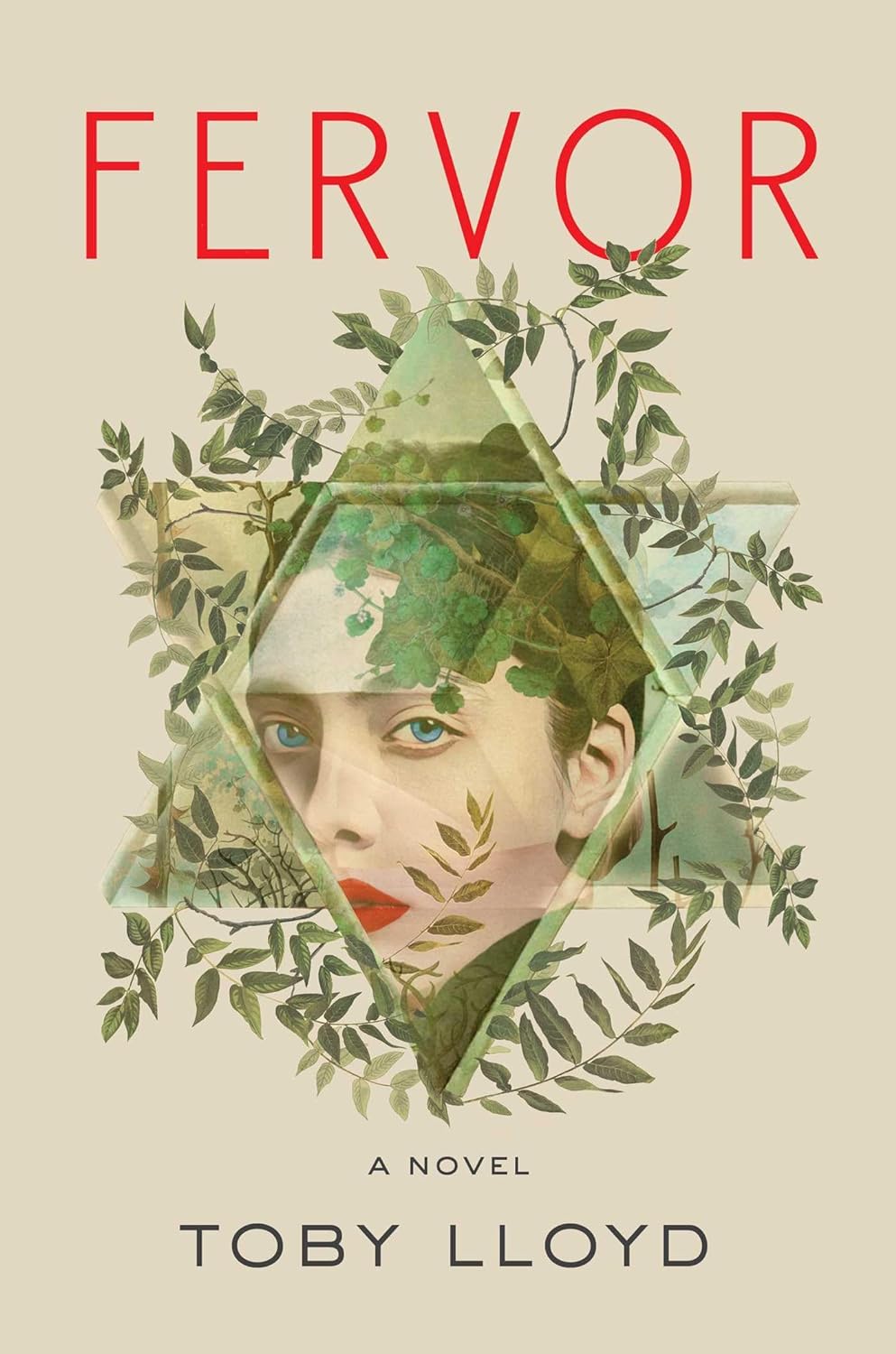 Fervor Book Cover