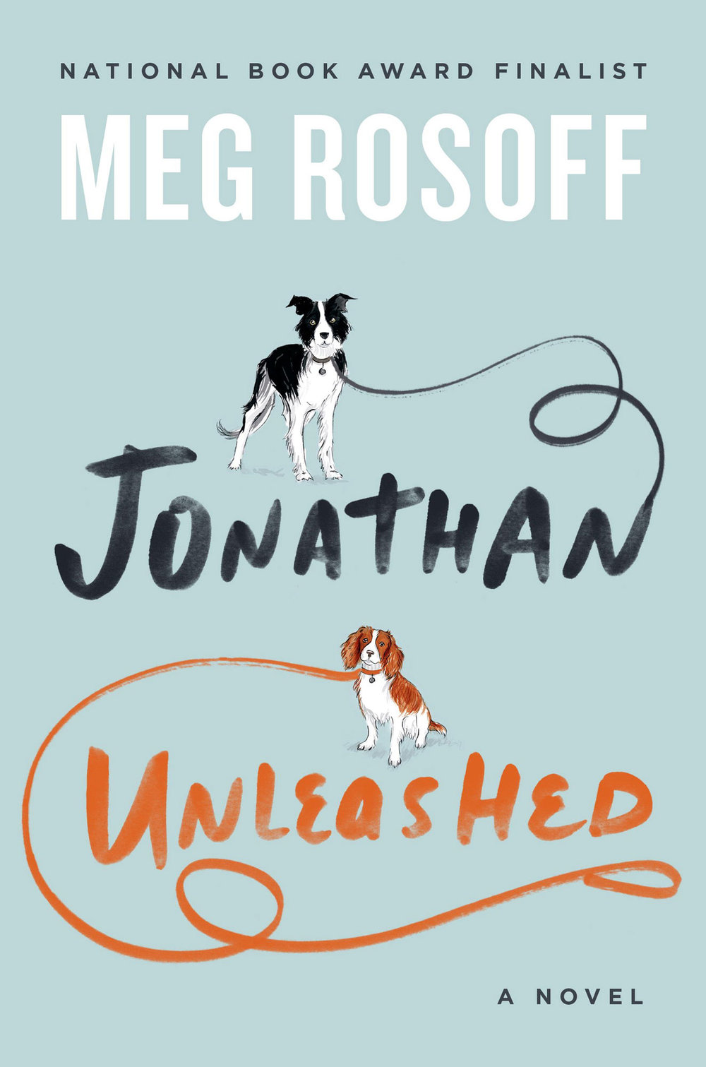Image for "Jonathan Unleashed"