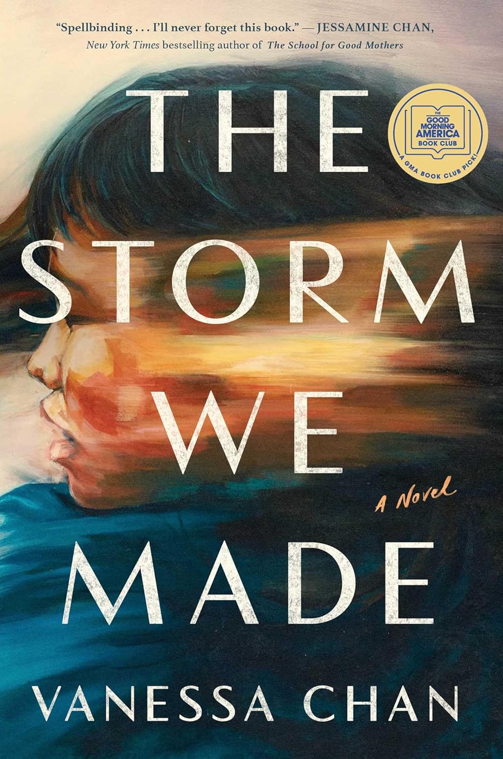 The Storm We Made Cover