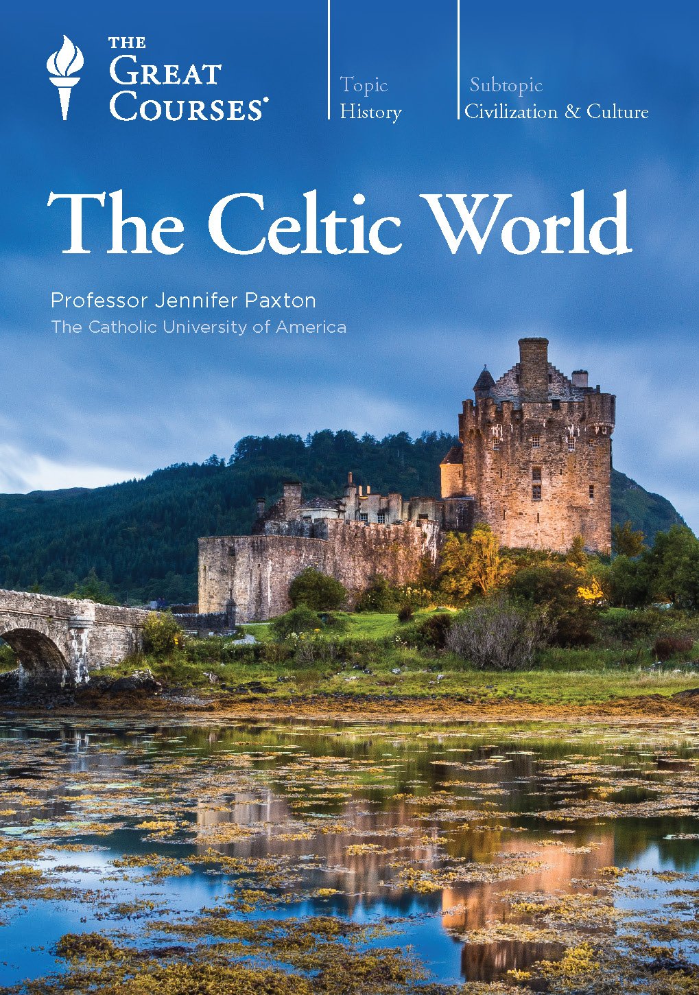 Image for "The Celtic World"