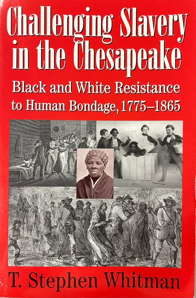 Image for "Challenging Slavery in the Chesapeake"