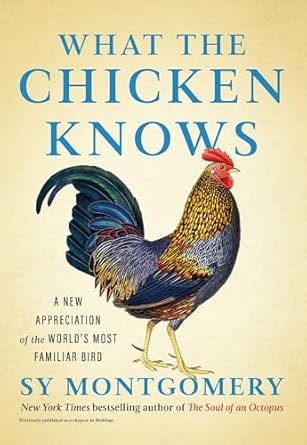 Image for "What the Chicken Knows"