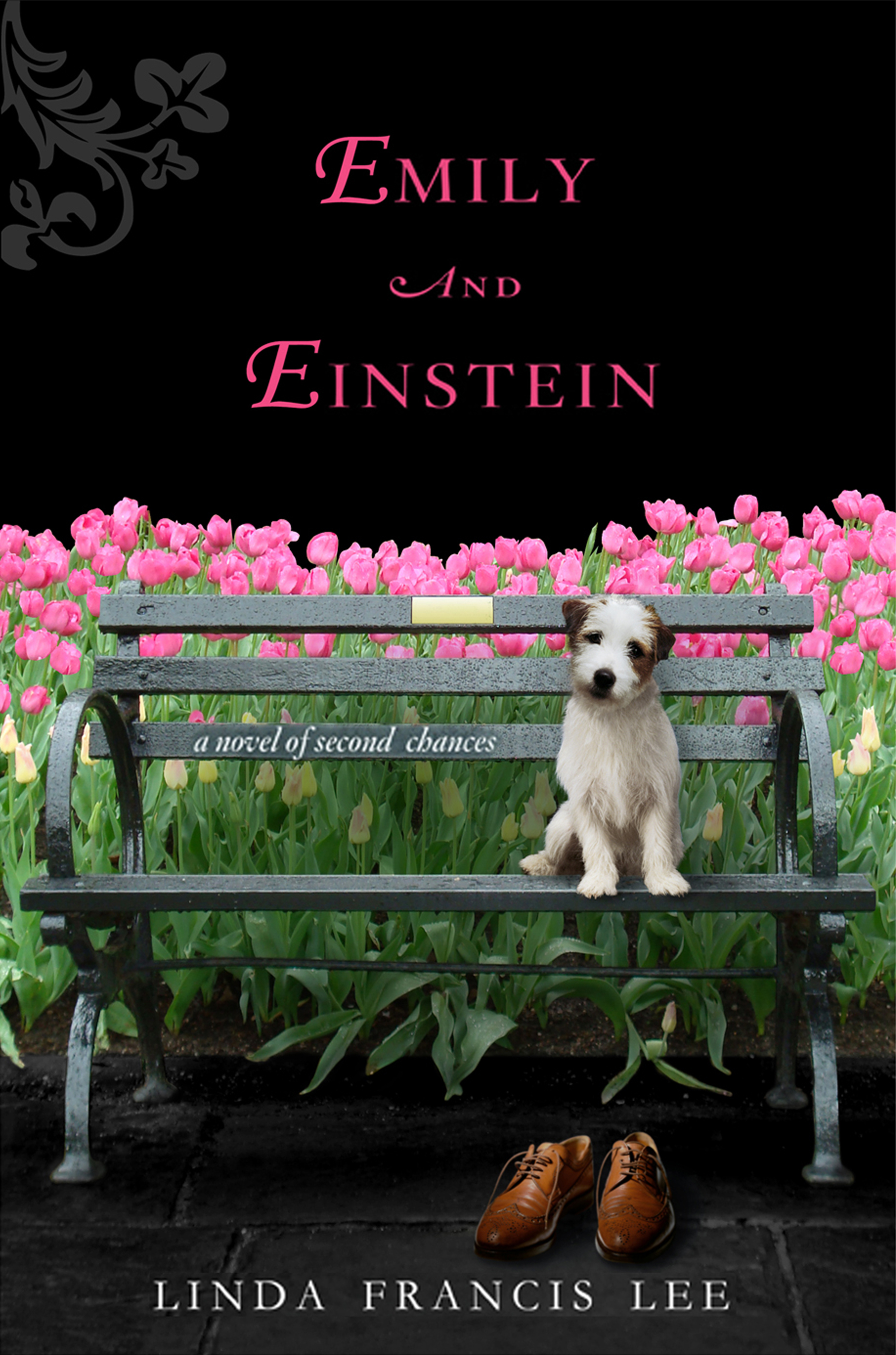 Image for "Emily & Einstein"