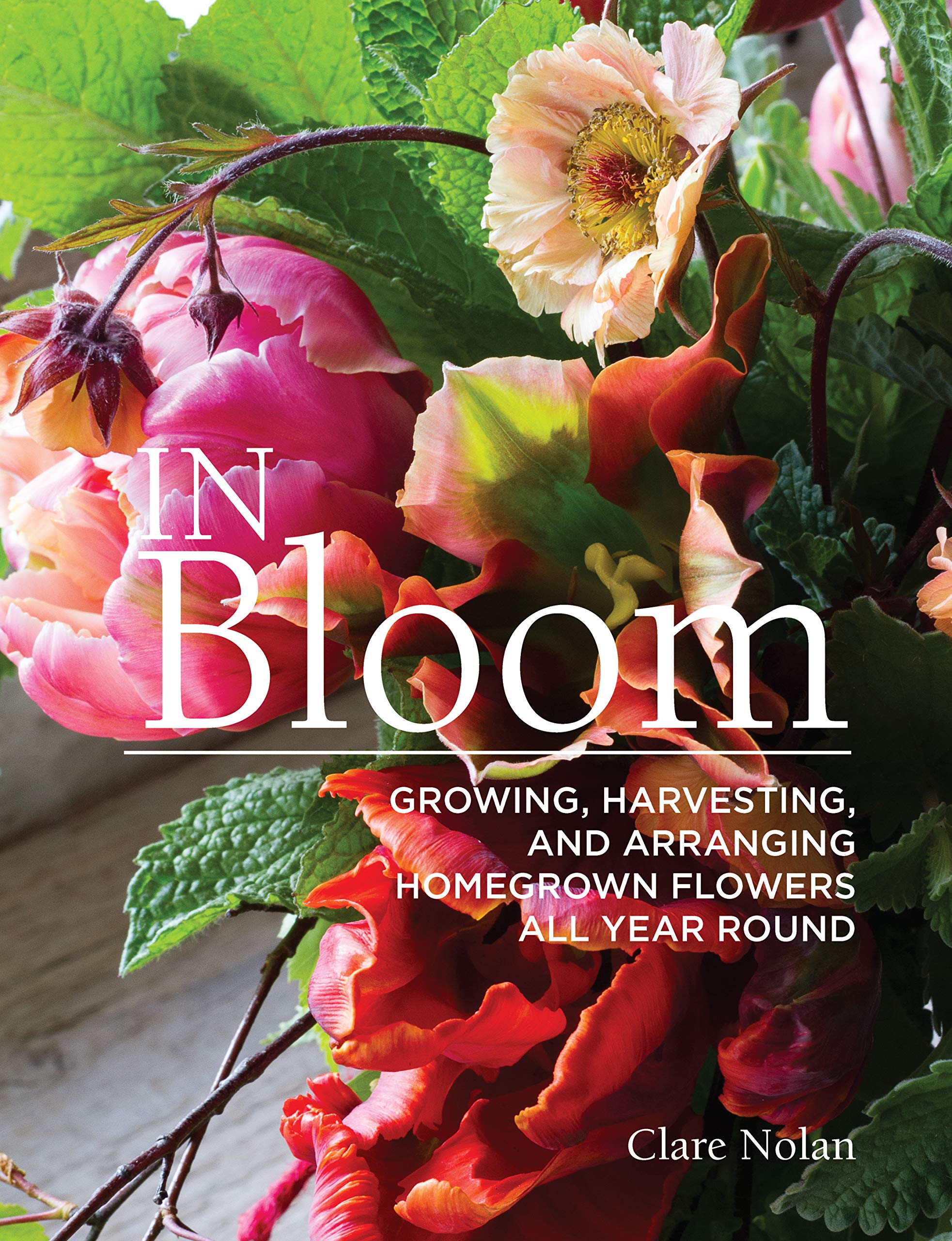 Image for "In Bloom"