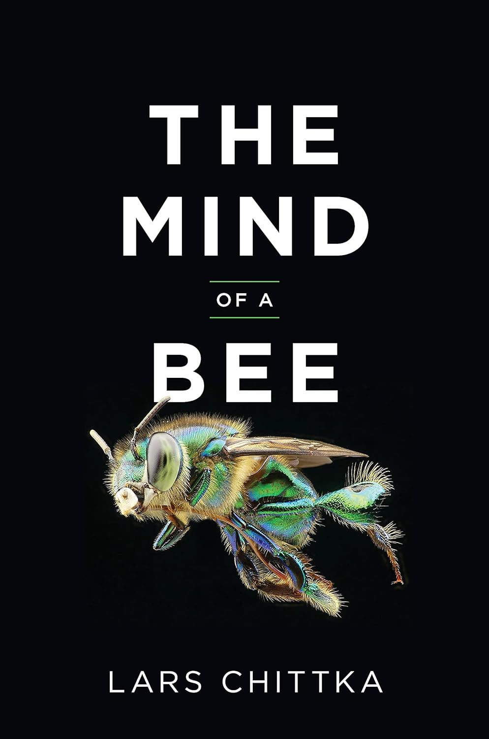 The Mind of a Bee cover image