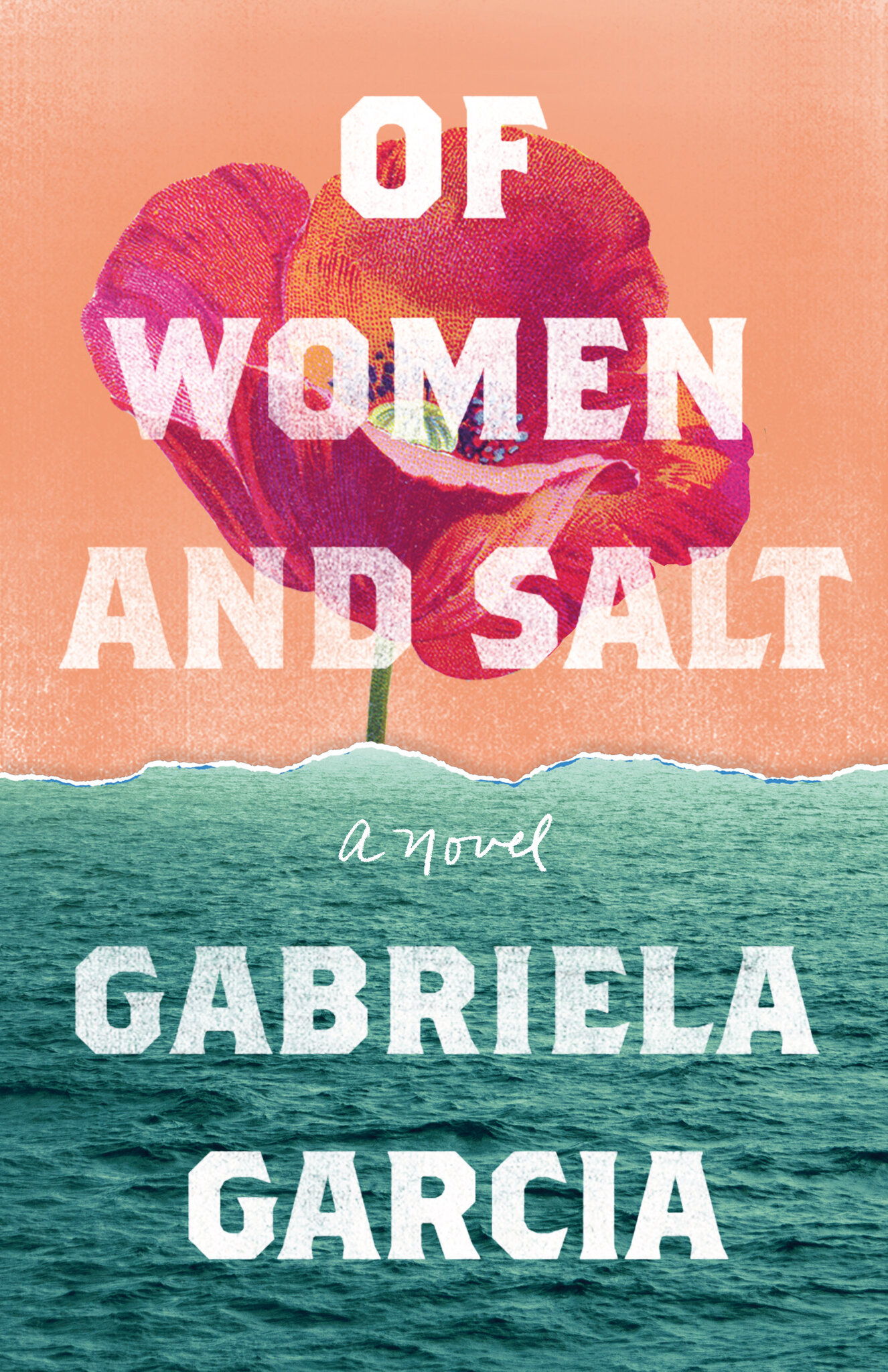 Image for "Of Women and Salt"