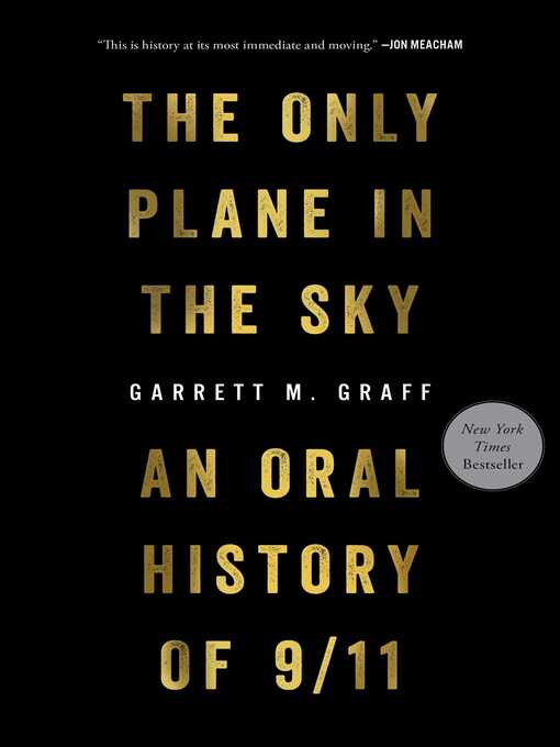Image for "The Only Plane in the Sky"